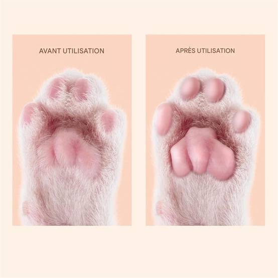 Coupe - griffes pour animaux de compagnie DtopbuyAge - Image 5