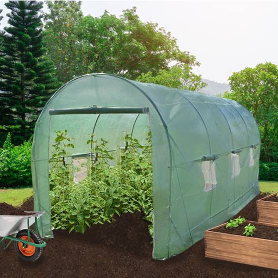 Monstershop - Serre Polytunnel 25mm 6m x 3m - Image 2