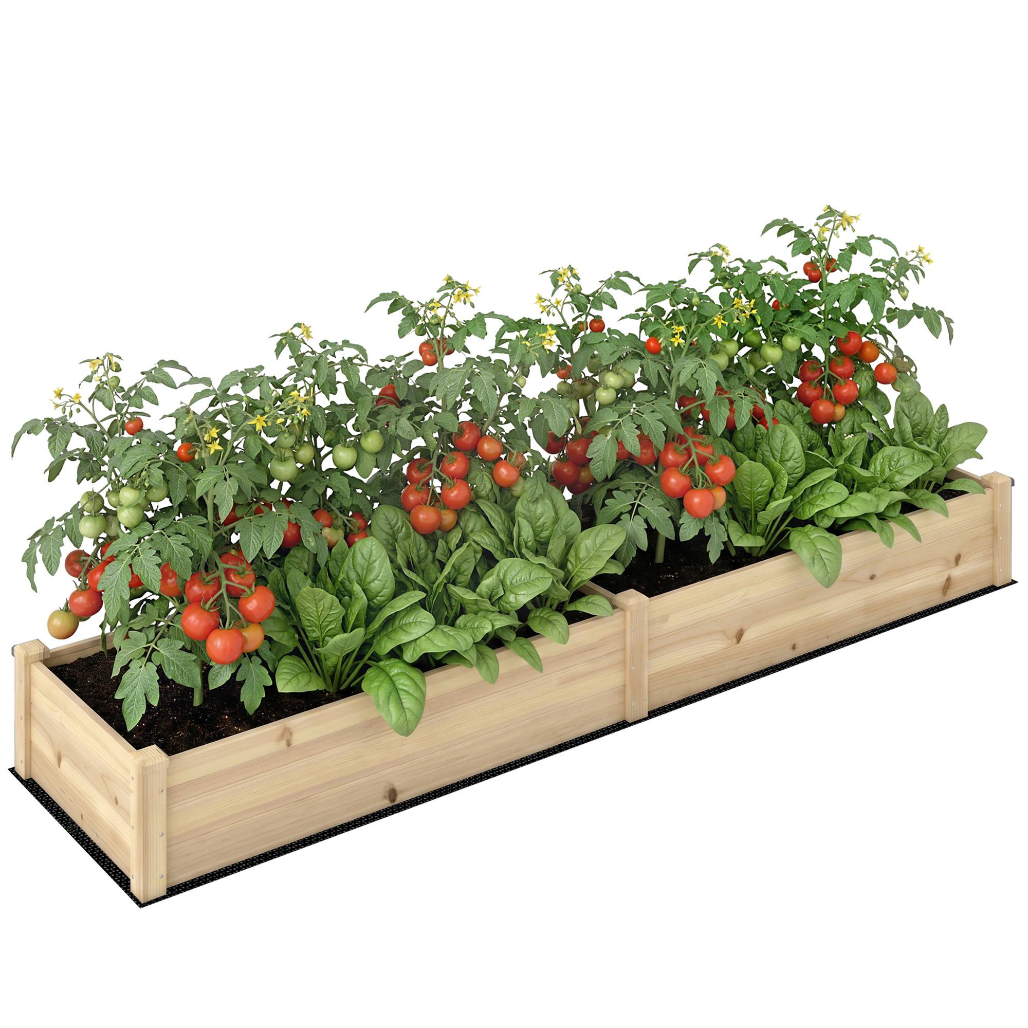 Sans Marque - Hochbeet 2 Pflanzbereiche Innenverkleidung Vlies wetterbeständig Massivholz 244x61,5x27 cm - Image 1