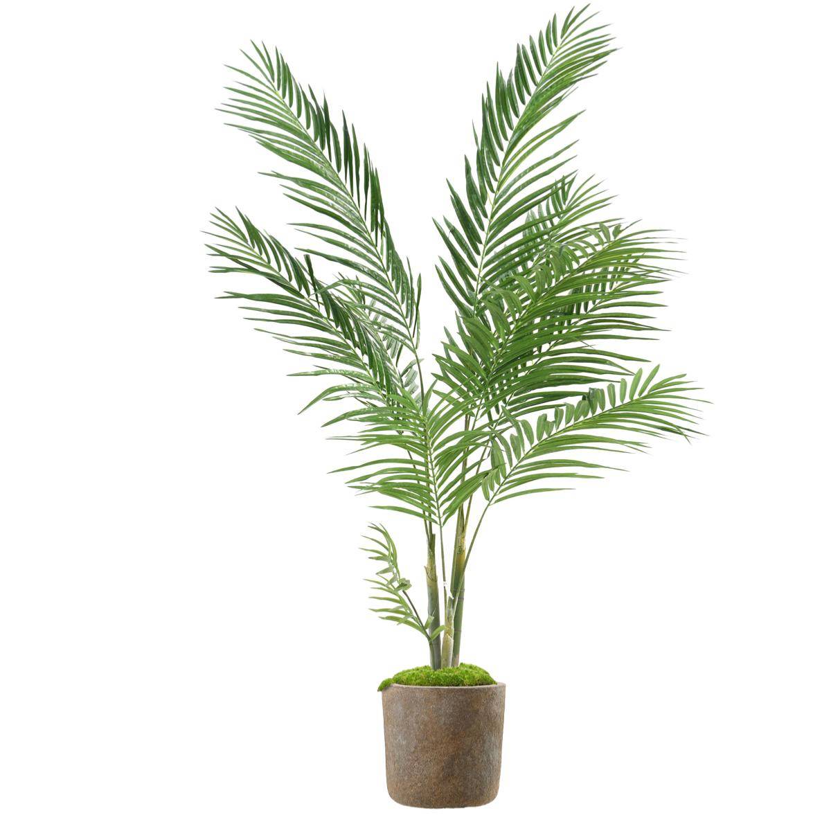 Artificielles - Palmier Areca artificiel H 160 cm D 100 cm en pot - Image 1