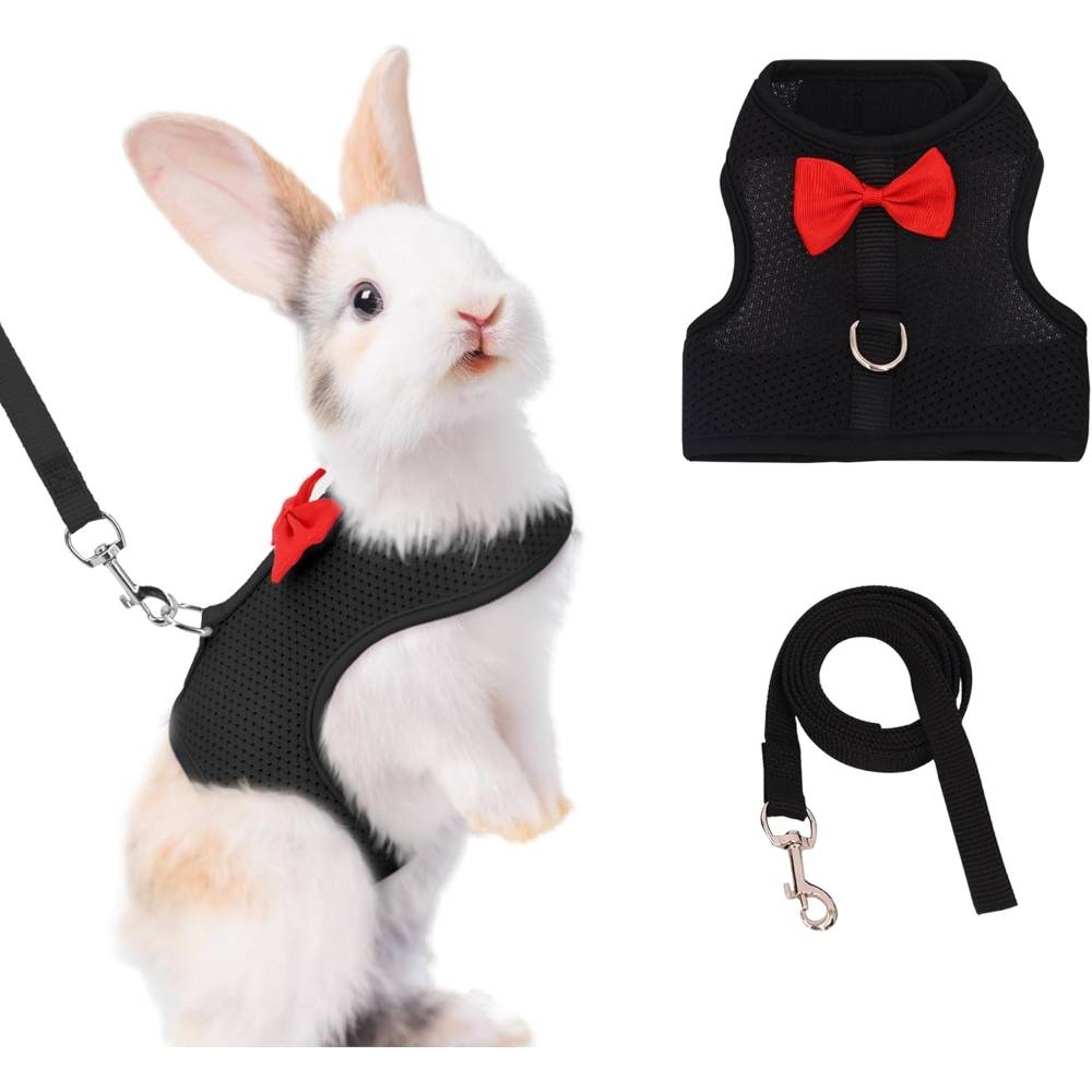 Harnais pour lapin s - IntiMeg - Image 1