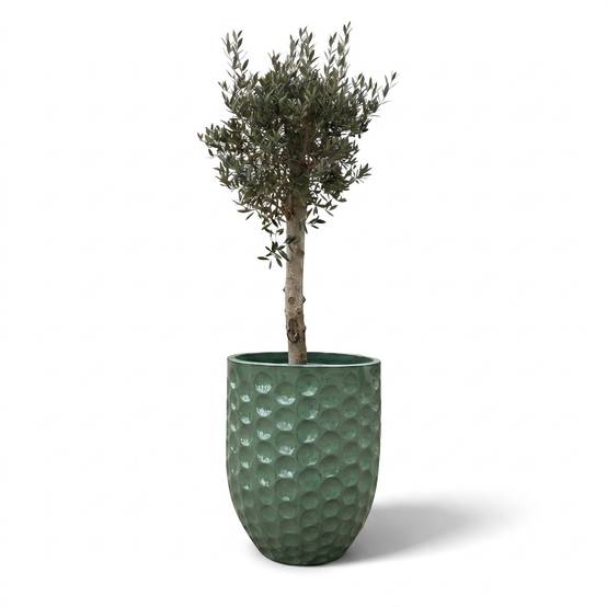 Lot olivier + pot MEROVEE 55x65cm perle de jade, fait main en terre cuite émaillée