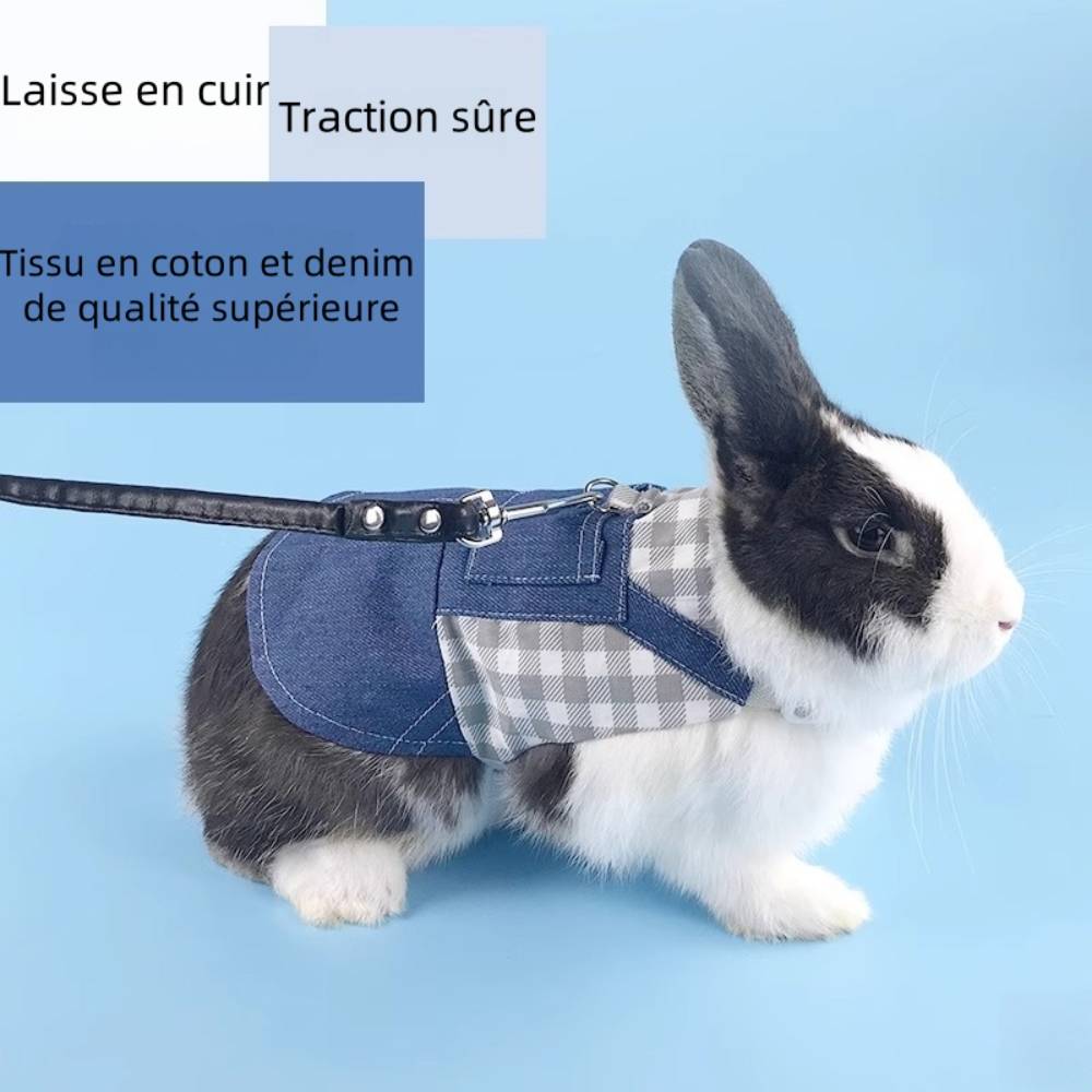 Harnais pour lapin et chat l - IntiMeg - Image 3