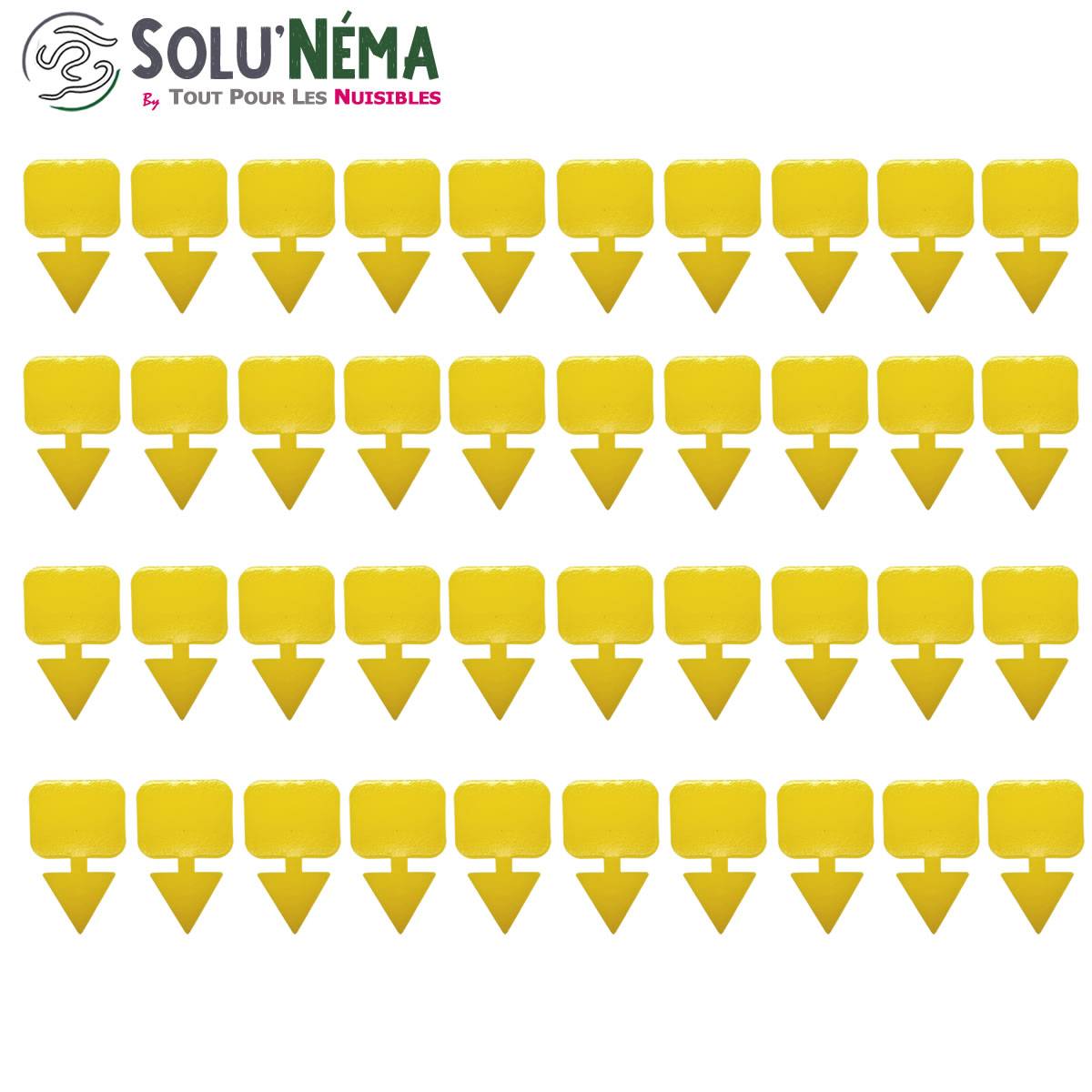 Solu'Néma - 40 Pièges Collants Jaunes pour Mouches du Terreau, Mouches des Fruits, Moucherons, Design XXL - Image 2