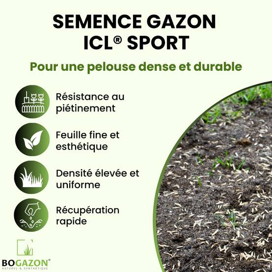 Gazon a semer ICL Sport 10 kg | Graines de Gazon Résistant Piétinement Terrain de Sport & Jardin | Semence Universel Dense et Uniforme - Image 2