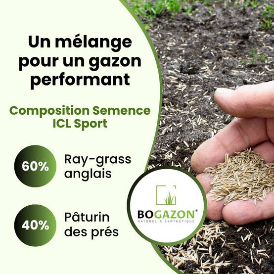 Gazon a semer ICL Sport 10 kg | Graines de Gazon Résistant Piétinement Terrain de Sport & Jardin | Semence Universel Dense et Uniforme - Image 5