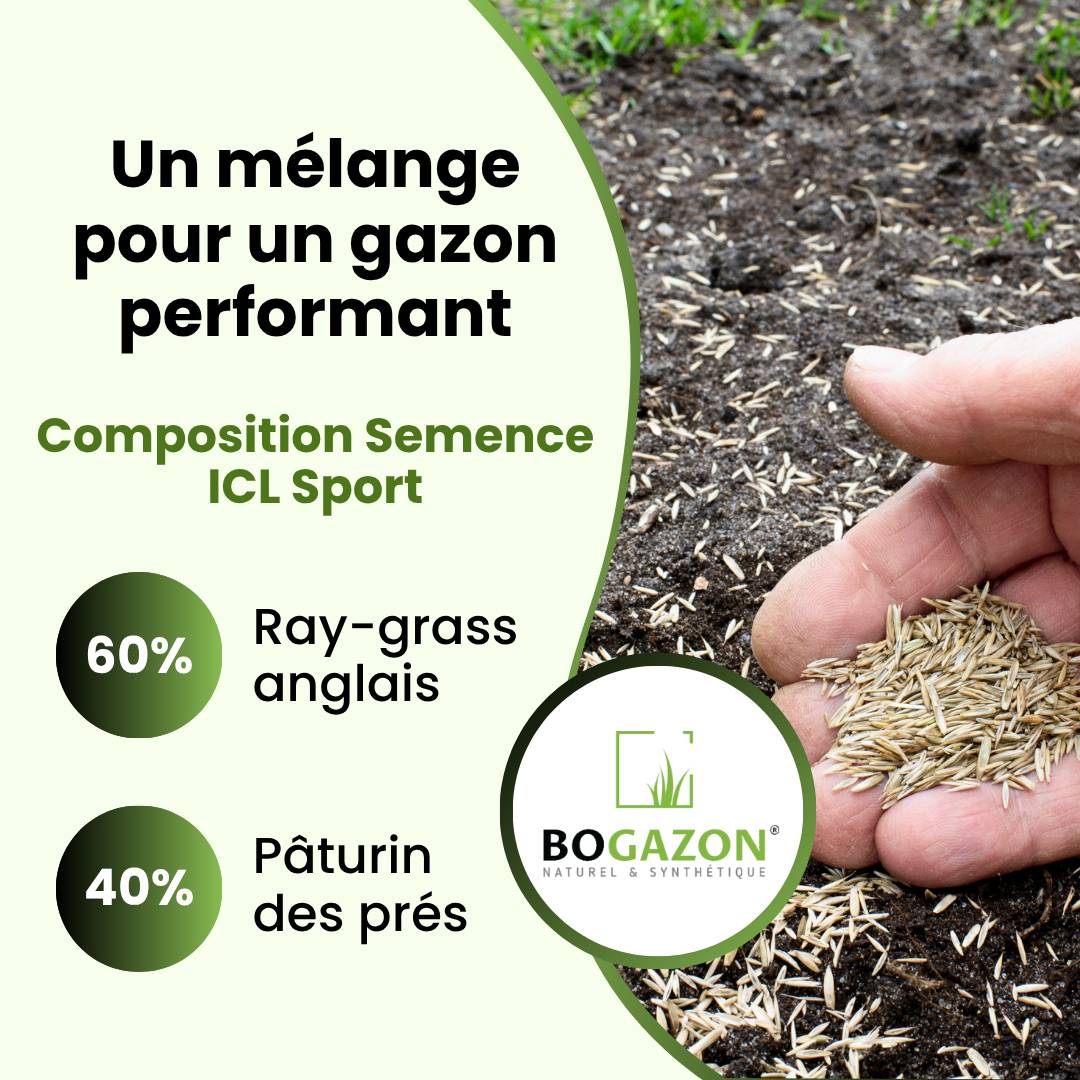 Gazon a semer ICL Sport 10 kg | Graines de Gazon Résistant Piétinement Terrain de Sport & Jardin | Semence Universel Dense et Uniforme - Image 5