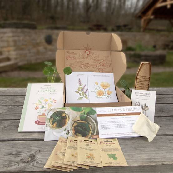 Box de graines bio Plantes à tisanes- Association Kokopelli - Image 1