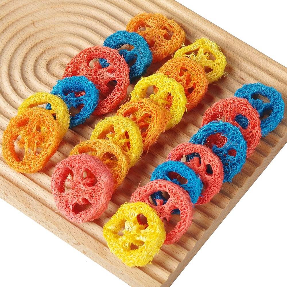 DtopbuyAge - Jouets à mâcher en luffa naturel pour rongeurs et cochons DtopbuyAge - Image 2