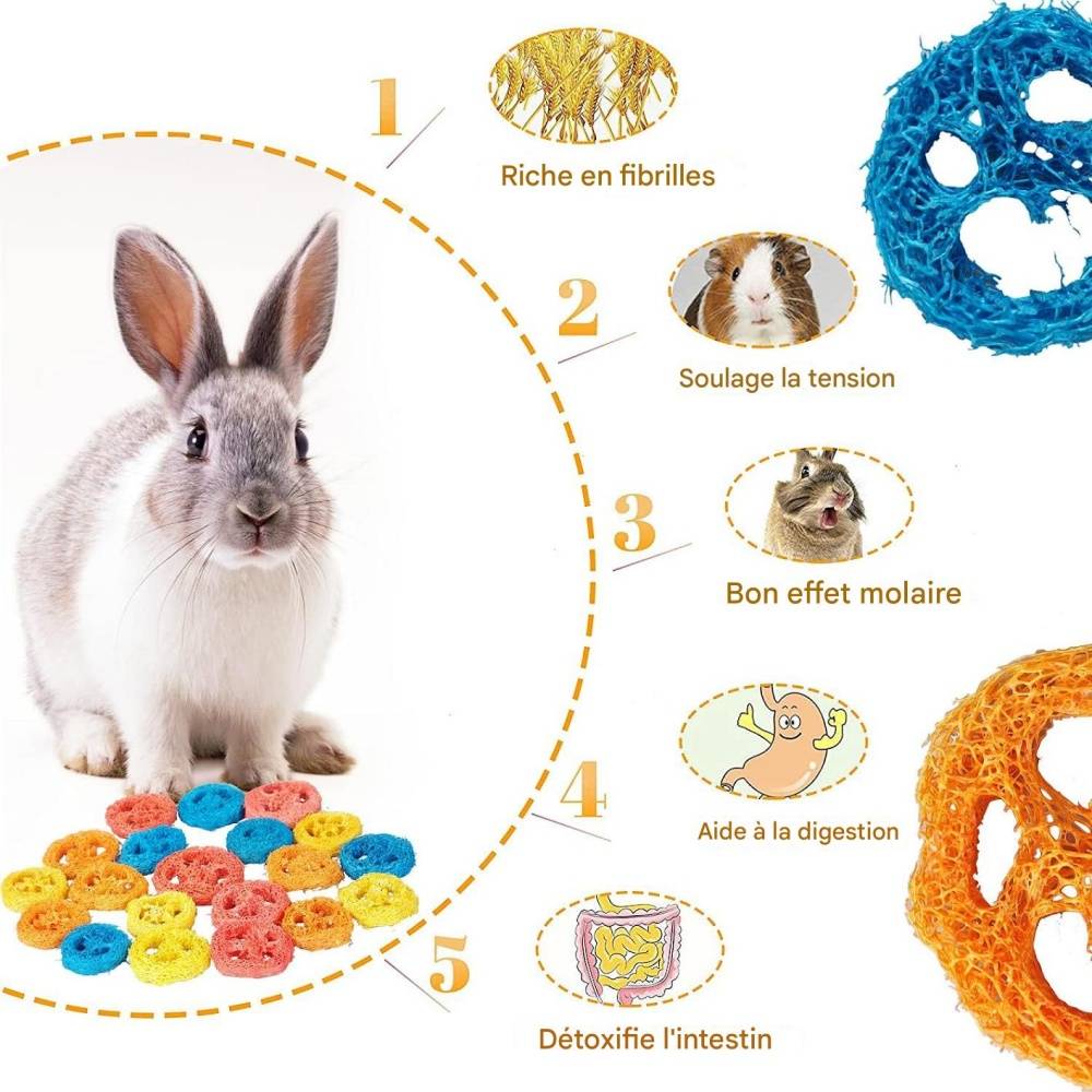 DtopbuyAge - Jouets à mâcher en luffa naturel pour rongeurs et cochons DtopbuyAge - Image 4