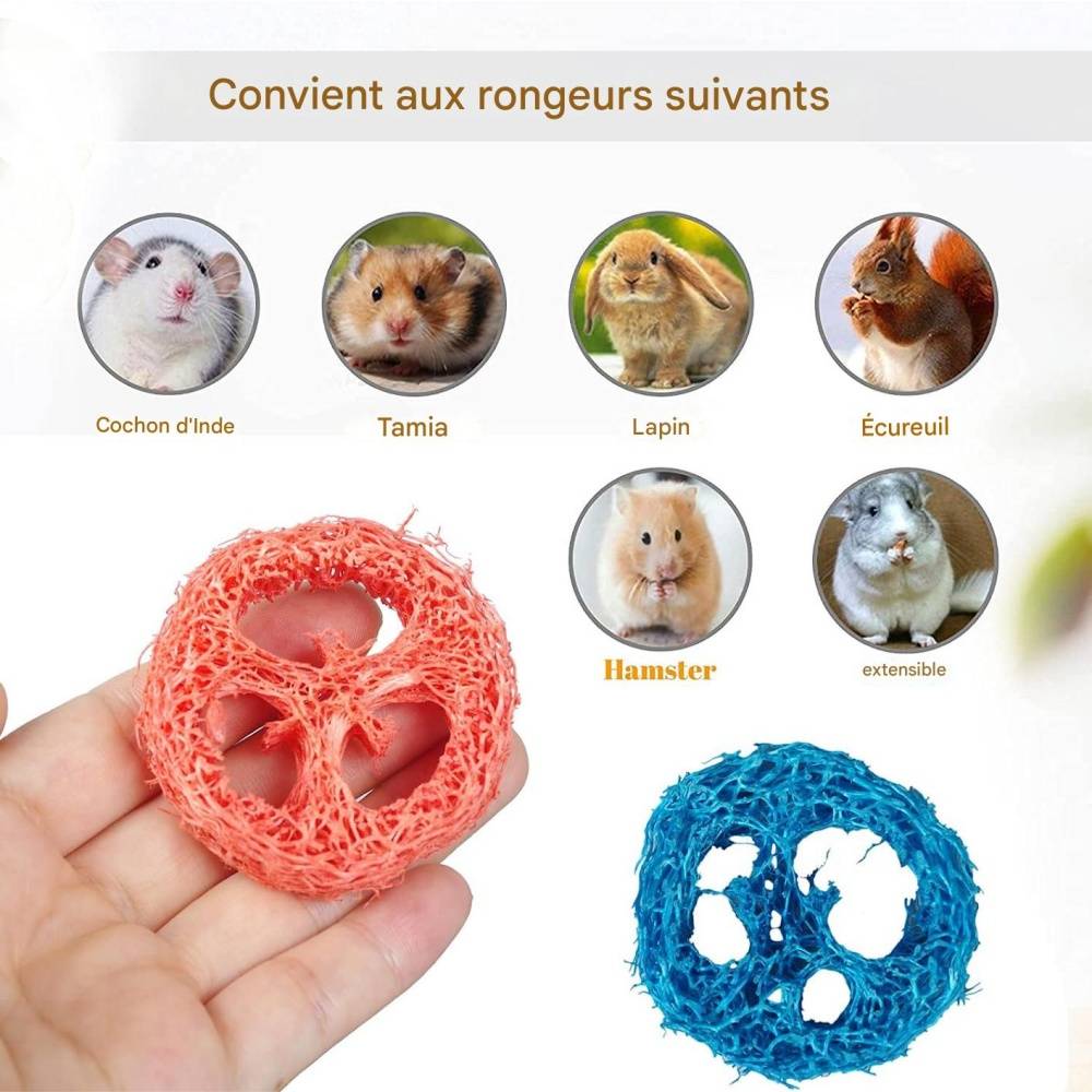 DtopbuyAge - Jouets à mâcher en luffa naturel pour rongeurs et cochons DtopbuyAge - Image 3