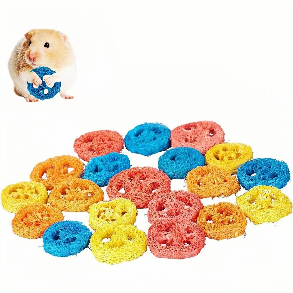 DtopbuyAge - Jouets à mâcher en luffa naturel pour rongeurs et cochons DtopbuyAge - Image 1