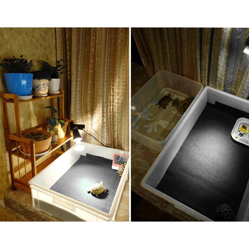 Tapis pour reptiles DtopbuyAge - Image 4