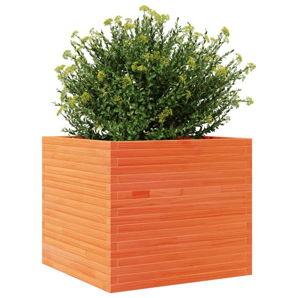 Jardinière | Pot de fleurs | Cache-pot | Bac à fleurs cire marron 80x80x68,5 cm bois de pin massif - Image 4