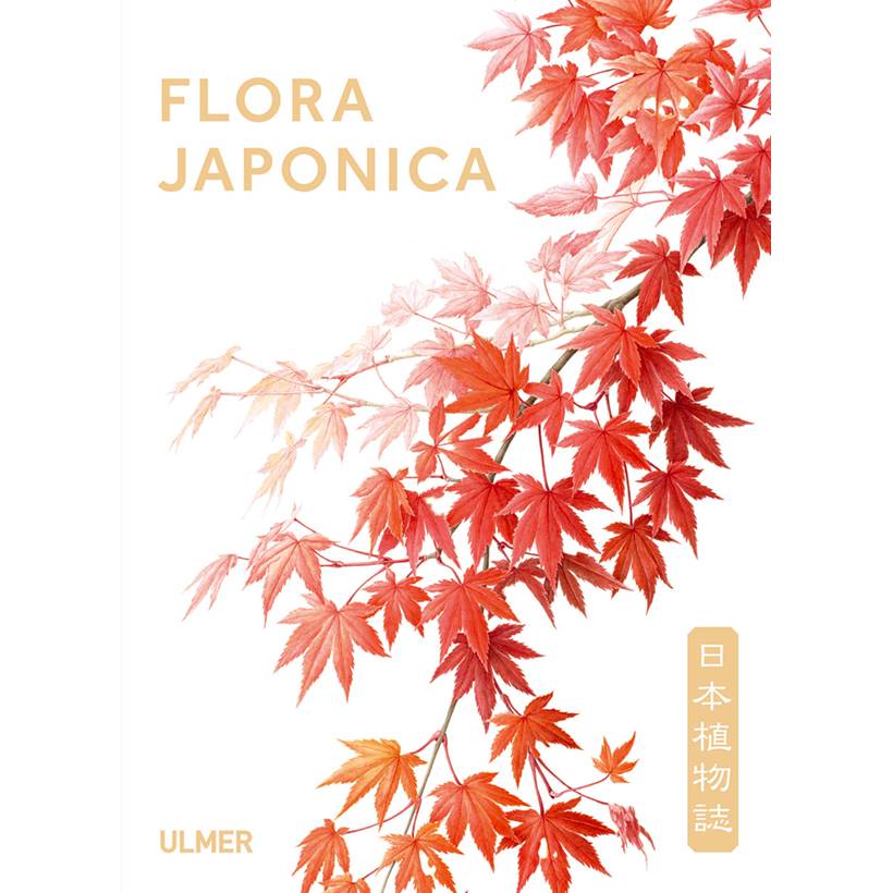 Promesse de Fleurs - Flora japonica