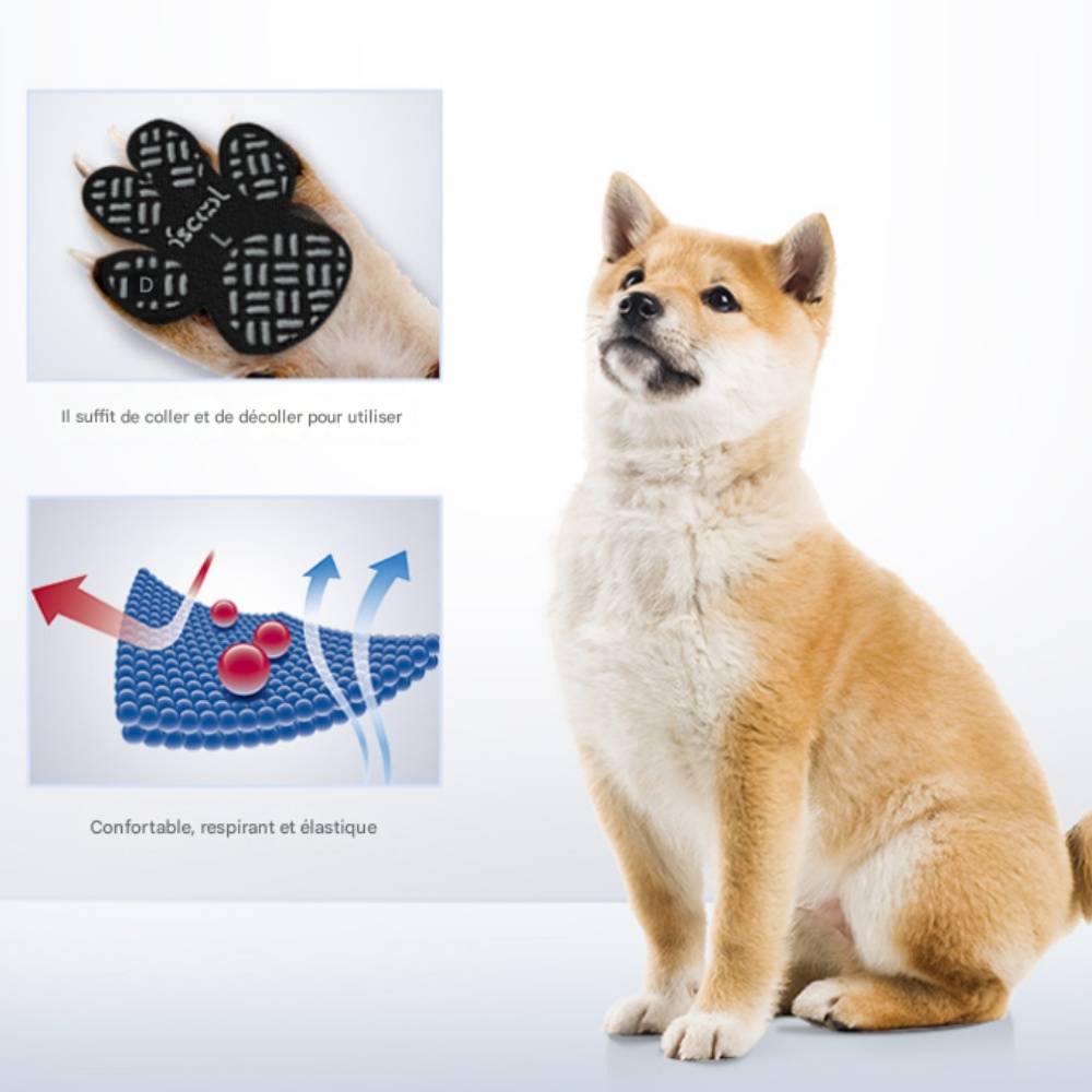 Coussinets antidérapants pour pattes de chien XXXL IntiMeg - Image 8