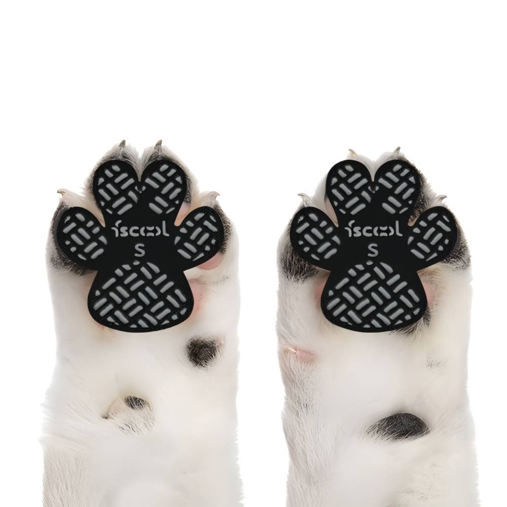 Coussinets antidérapants pour pattes de chien XXXL IntiMeg - Image 2