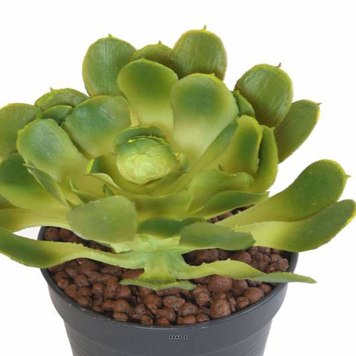Artificielles - Joli Aloe artificiel en piquet H 18 cm L 15cm Vert - Image 3