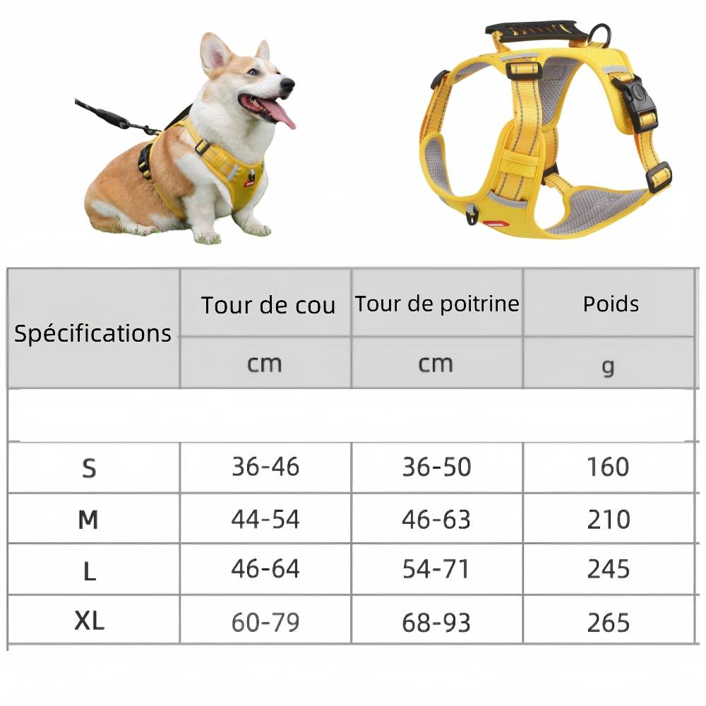 Tasse de nettoyage pour pattes de chien - IntiMeg - Image 4