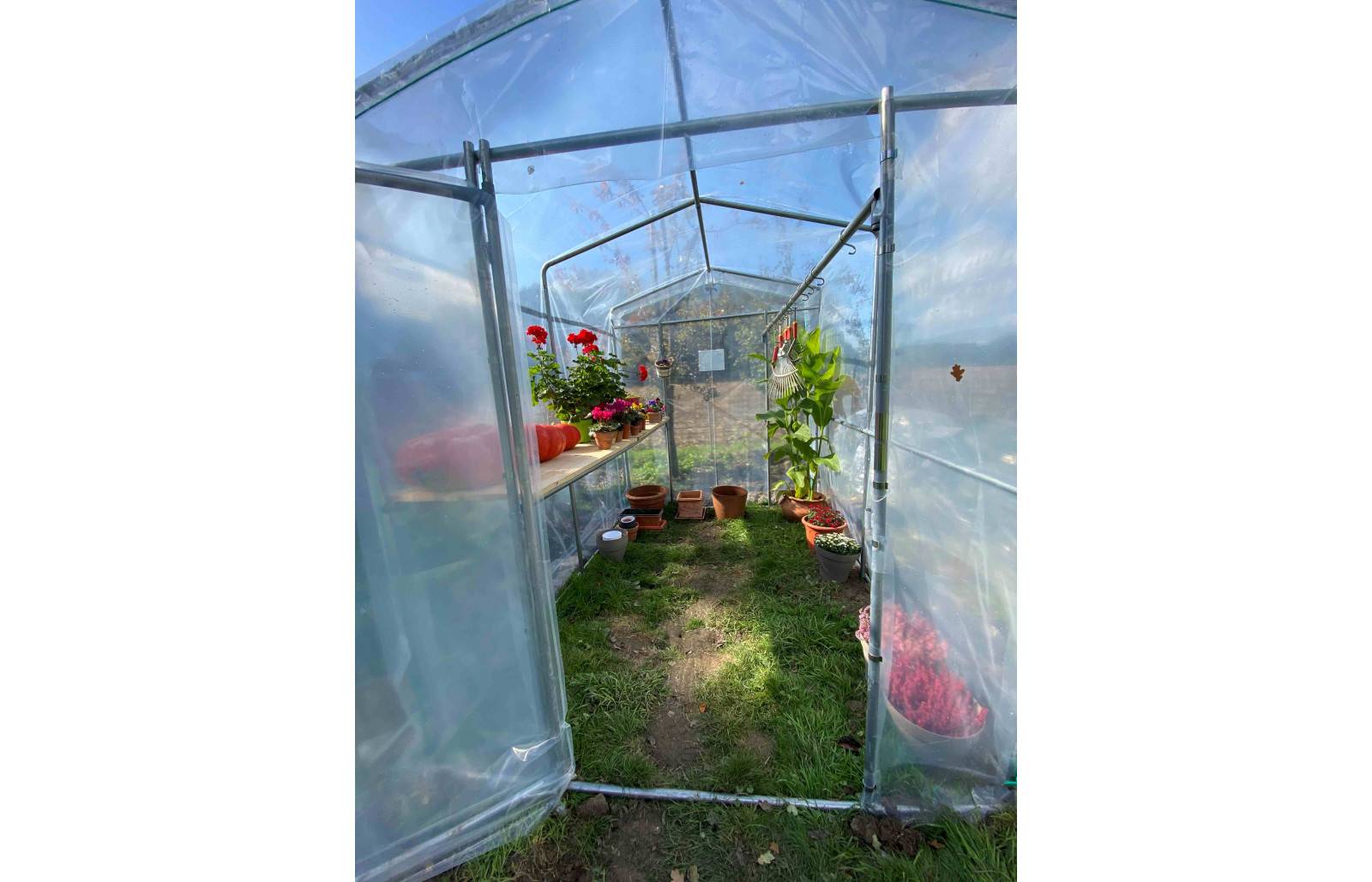 Serre de jardin Primeur - 5m² - 2 x 2,7 m - serre à semis - pieds droits - polyéthylène haute densité - 1 porte pivotante - LES SERRES TONNEAU - Image 3