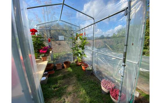 Serre de jardin Primeur - 5m² - 2 x 2,7 m - serre à semis - pieds droits - polyéthylène haute densité - 1 porte pivotante - LES SERRES TONNEAU - Image 7