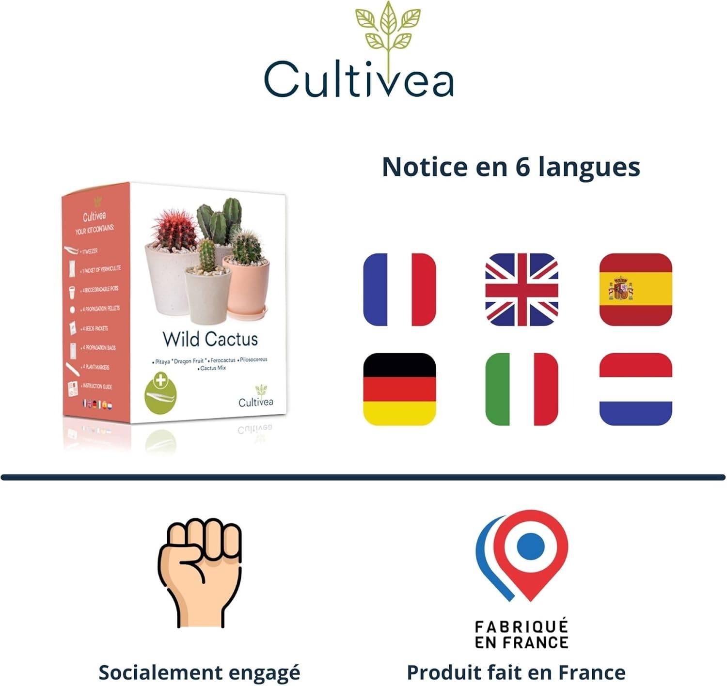 Mini Kit Prêt à Pousser Cactus (Ferocactus, Pilosocereus et Cactus Mix) - CULTIVEA® - Image 5