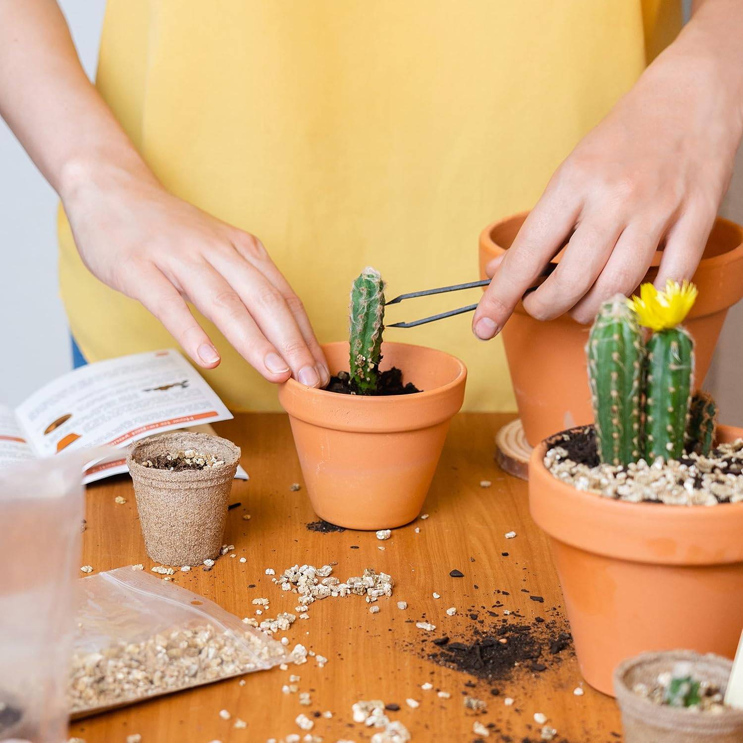 Mini Kit Prêt à Pousser Cactus (Ferocactus, Pilosocereus et Cactus Mix) - CULTIVEA® - Image 4