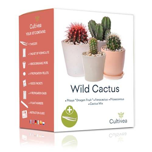 Mini Kit Prêt à Pousser Cactus (Ferocactus, Pilosocereus et Cactus Mix) - CULTIVEA® - Image 1