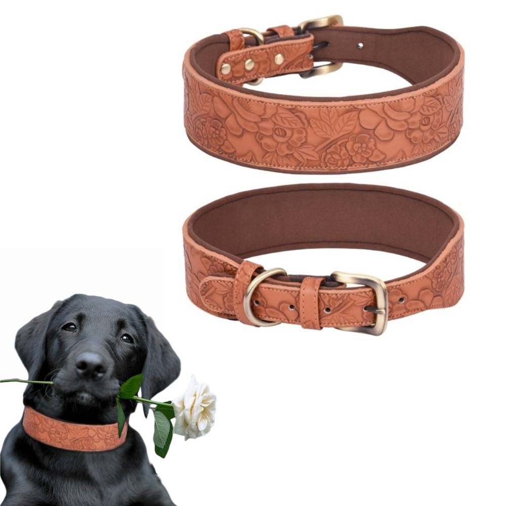 Collier pour chien ajustable xl - IntiMeg - Image 1