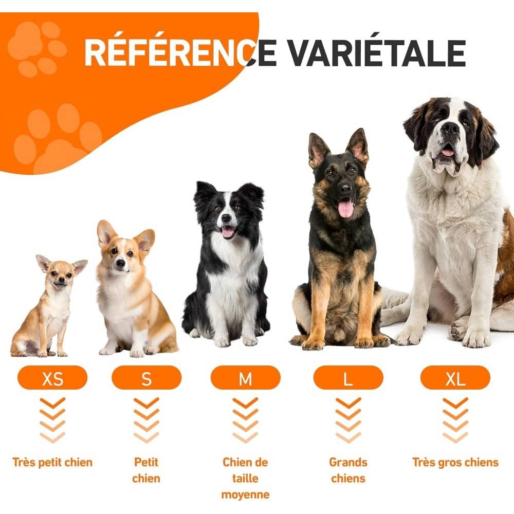 DtopbuyAge - Peignoir pour chien de taille moyenne DtopbuyAge - Image 4
