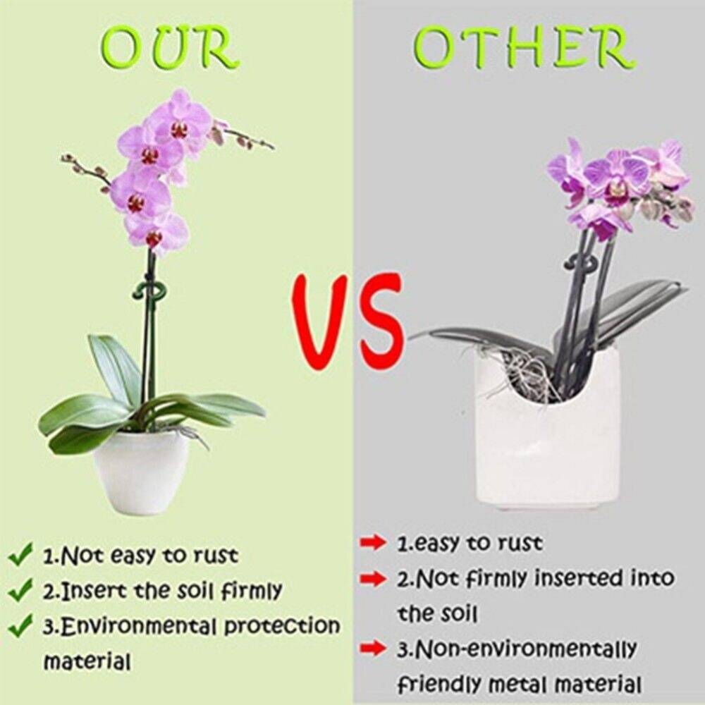 Lot de 10 Tuteurs pour Plantes d'Intérieur 37 cm - Fibre de Verre Résistant - Support pour Orchidées et Fleurs Délicates - Lytech - Image 5