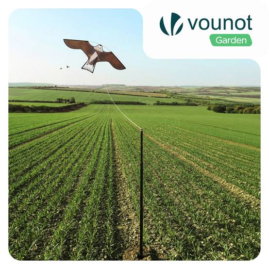 Lot de 2 Cerf volant anti oiseaux effaroucheur avec mat Faucon modele B et G - Image 2