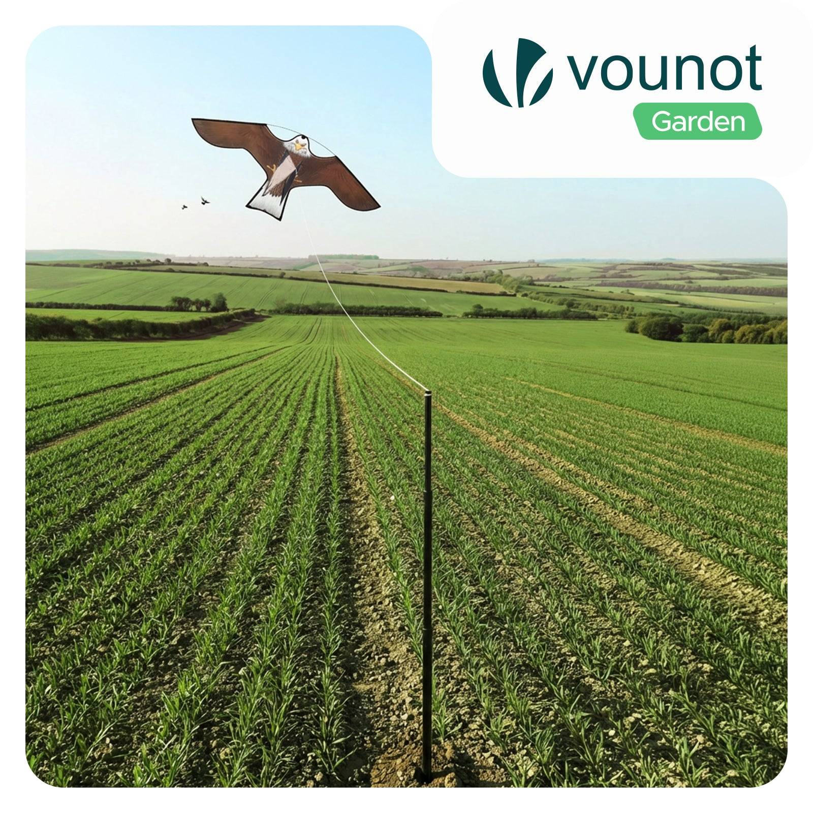 Lot de 2 Cerf volant anti oiseaux effaroucheur avec mat Faucon modele B et G - Image 2