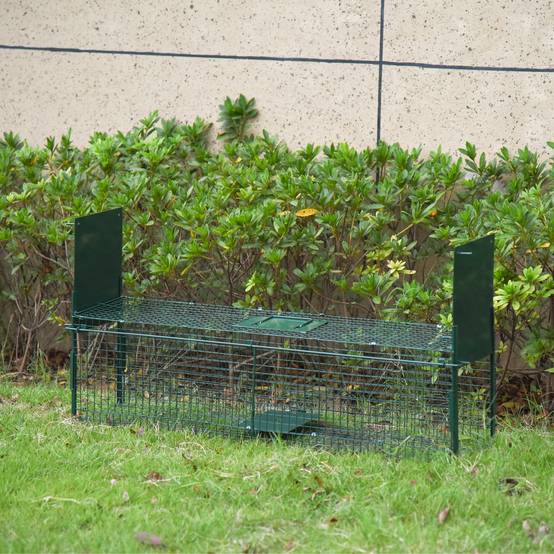 Piège Vivant Cage Attrape 100 x 25 x 28 cm Piège Fouine pour Martres, Rats, Souris - 2 entrées + poignée - métal vert - Image 2