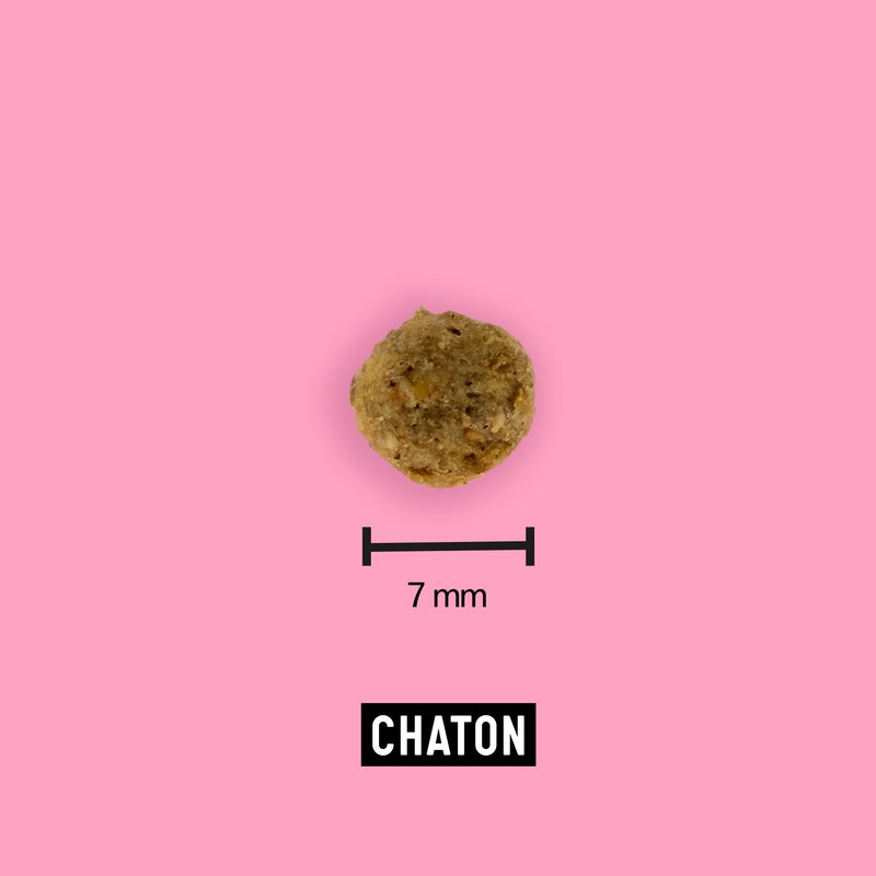 Croquettes aux insectes pour chaton 7,5kg - Tomojo - Image 2