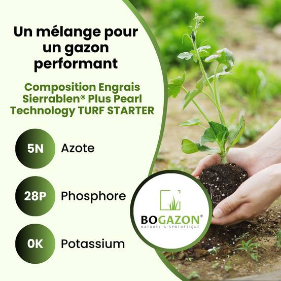 Engrais Gazon Sierrablen® Plus 5-28-0 5KG Bogazon® | Nutrition Longue Durée pour Pelouses| Libération Contrôlée & Croissance Maîtrisée - Image 5