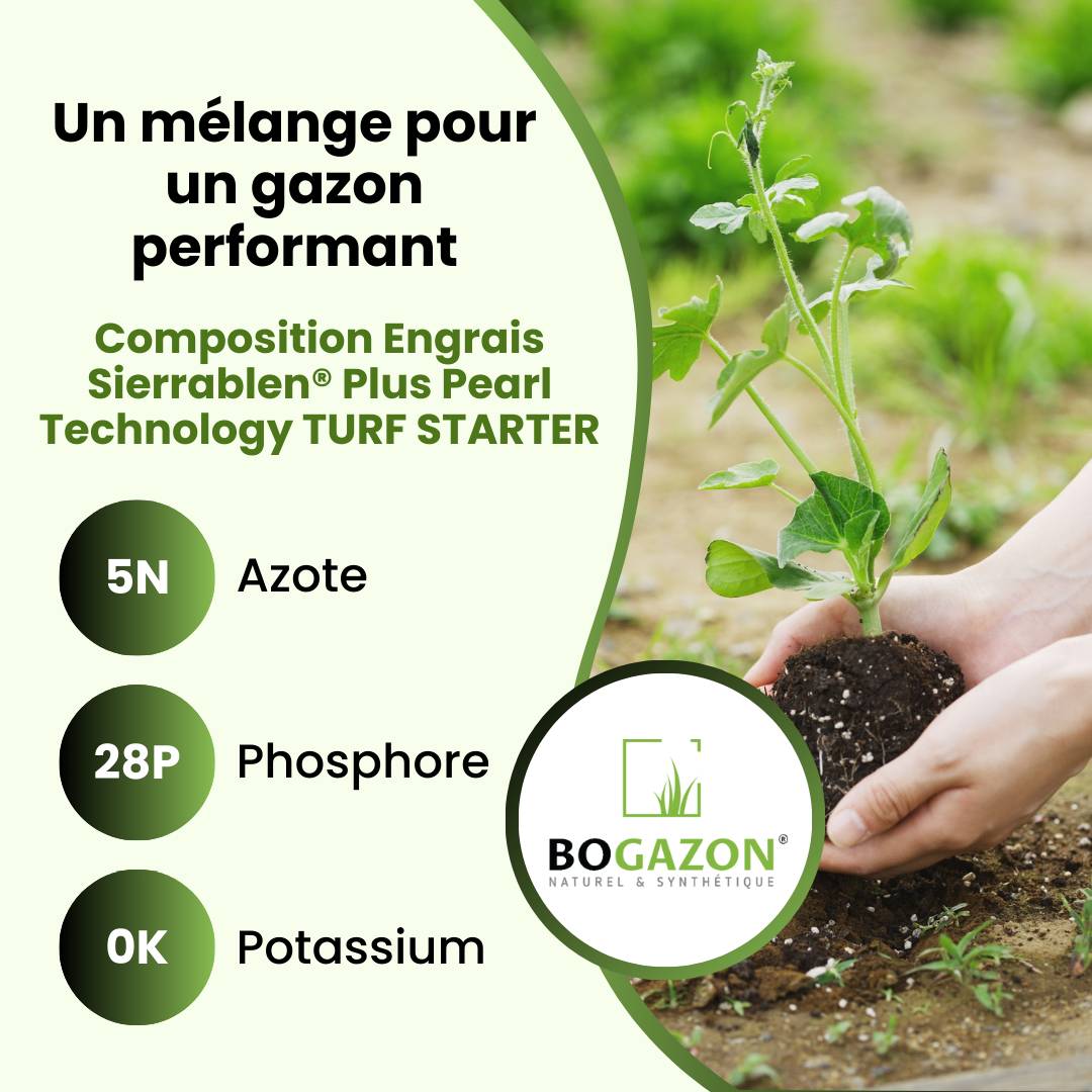 Engrais Gazon Sierrablen® Plus 5-28-0 5KG Bogazon® | Nutrition Longue Durée pour Pelouses| Libération Contrôlée & Croissance Maîtrisée - Image 5