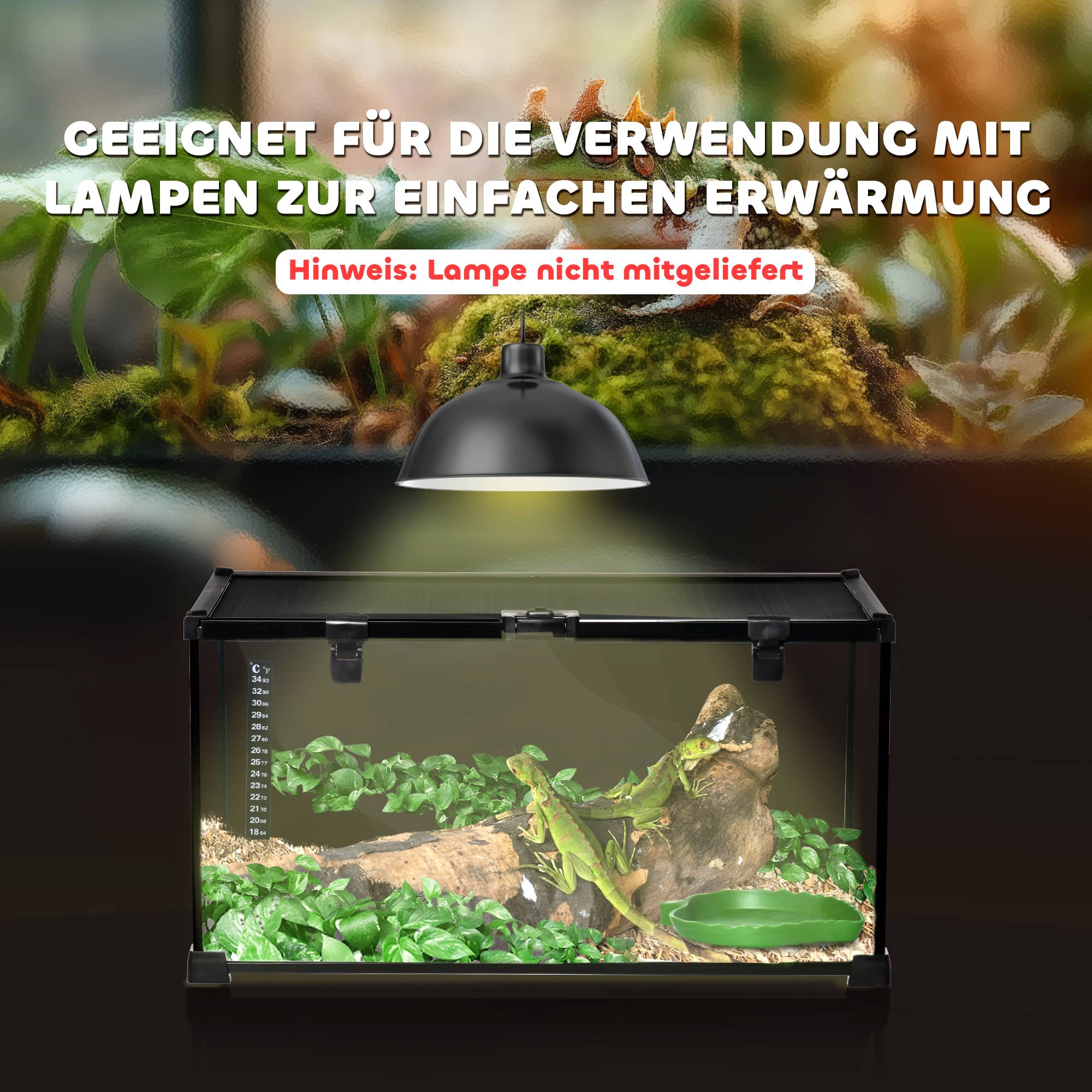ComfortXL - Terrarium reptile verre trempé noir 50 x 30 x 25 cm habitat ventilé avec thermomètre et trappe de nourrissage - Image 8