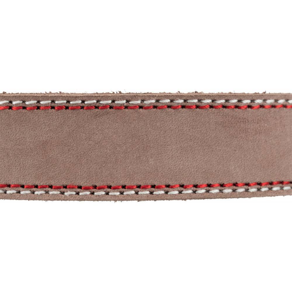 Trixie - Trixie - Collier cuir XS -S 27-32 cm/15 mm taupe pour chien - Image 3