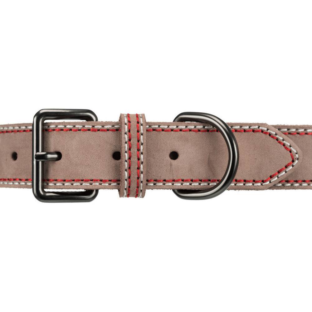 Trixie - Trixie - Collier cuir XS -S 27-32 cm/15 mm taupe pour chien - Image 4