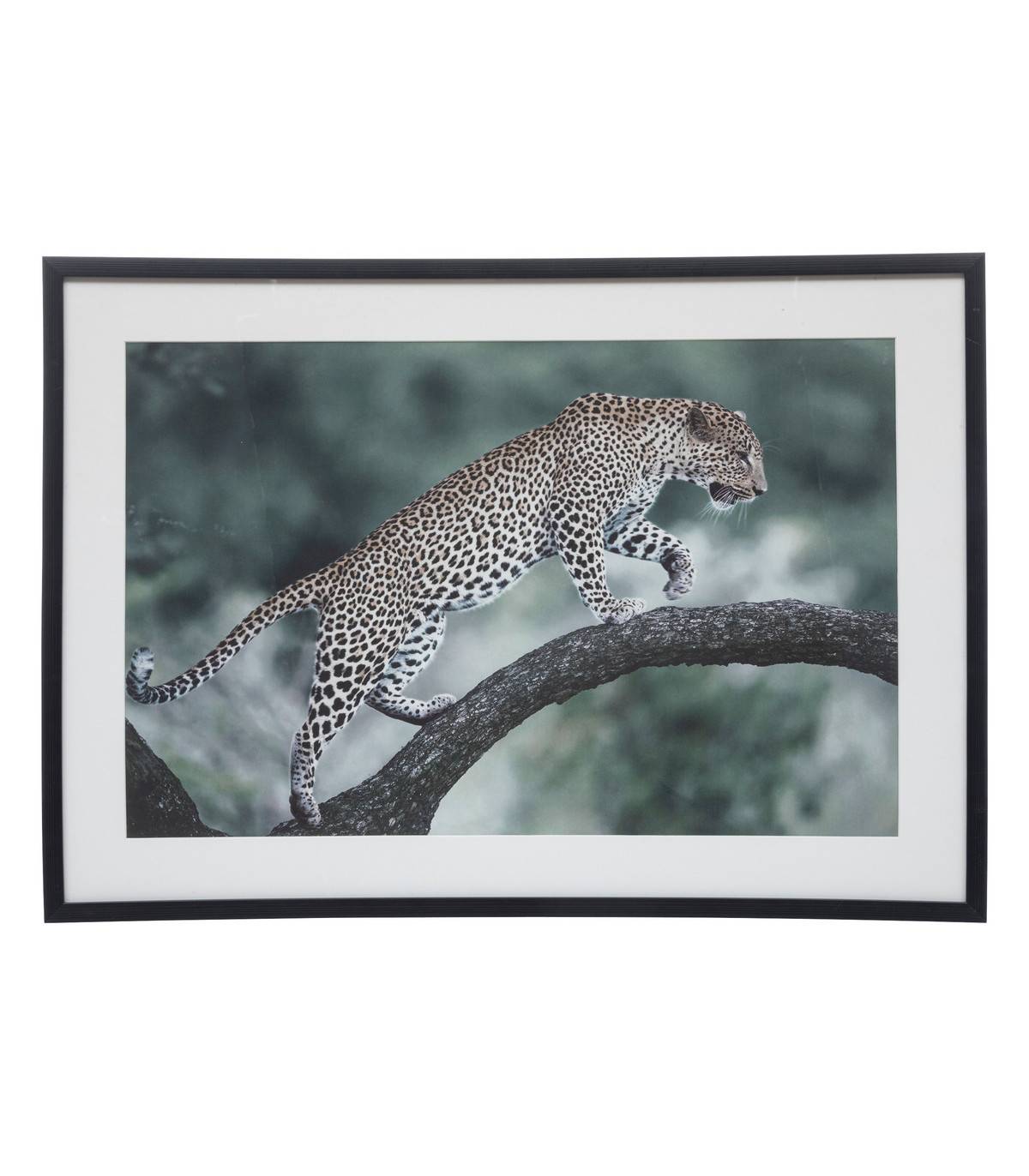 Tableau Toile murale imprimée et encadrée Majestueux Félin 70 x 50 cm - Image 1