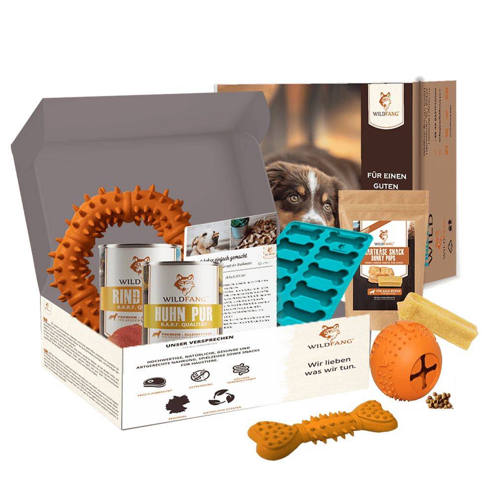 Wildfang - Wildfang — Coffret « Magic Box » – pour les grands chiens de plus de 25 kg - Image 1