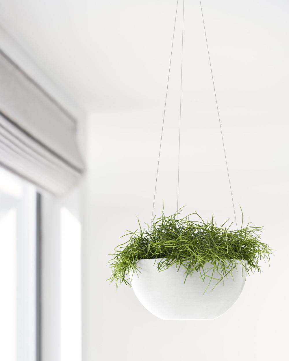 Ecopots - Pot supsendu Brussels 27 Blanc Pur - Ø 26,5 x H. 13 cm - 4,2 L ECOPOTS - Image 5