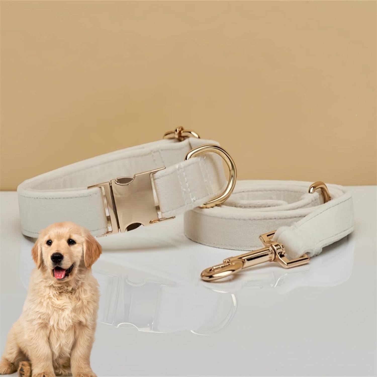 DtopbuyAge - Collier et Laisse Réglable pour Chien L DtopbuyAge - Image 5