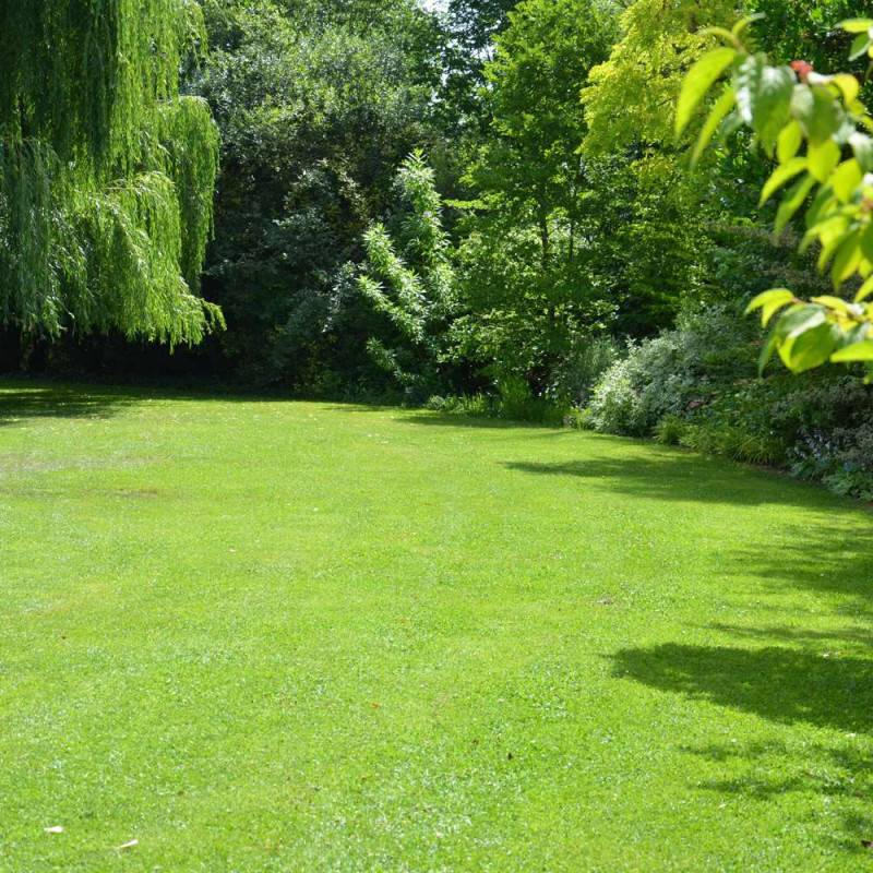 Ferti Gazon Printemps - Engrais pour gazon, relance de printemps - 4 kg - 100 m² - Image 4