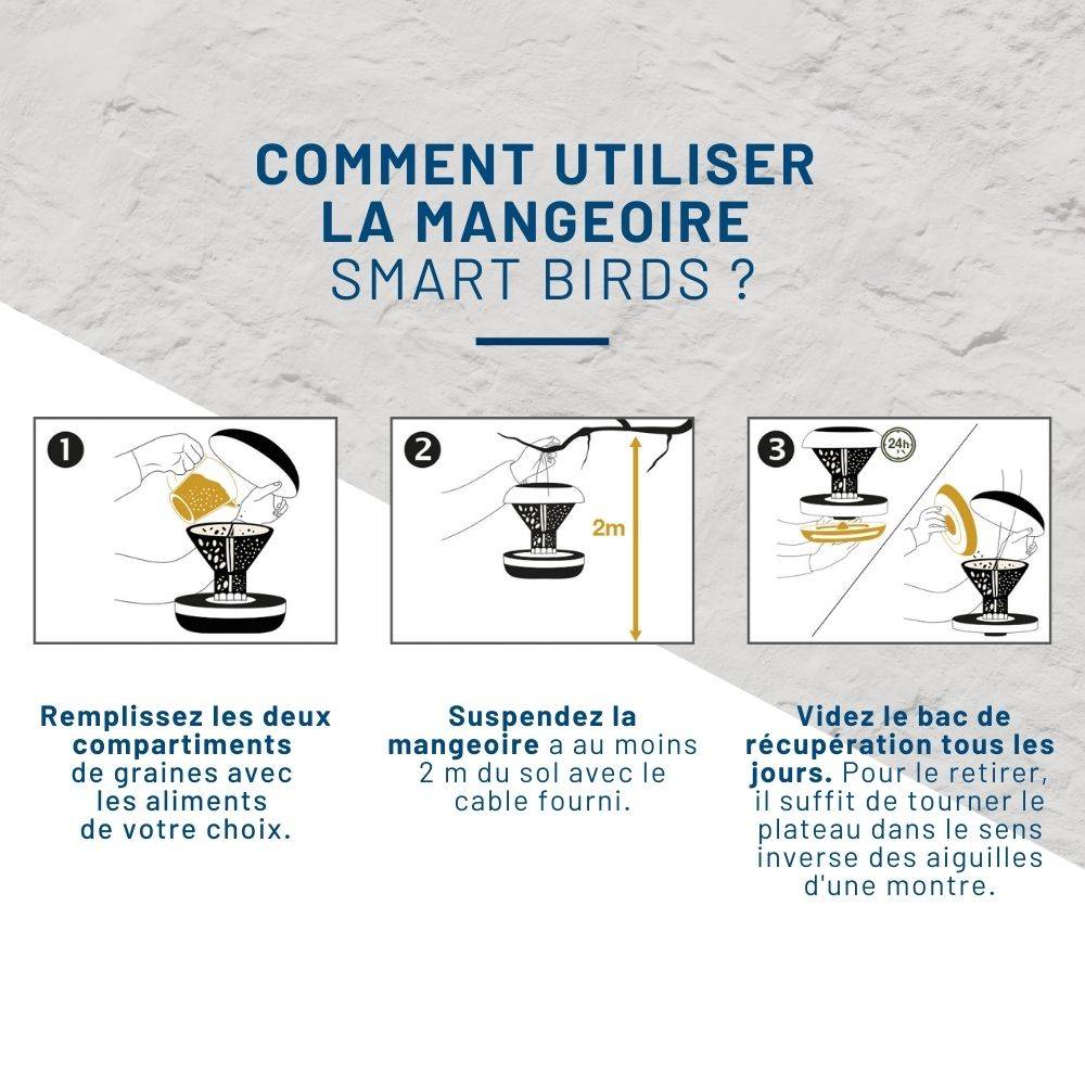 Mangeoire anti-nuisibles SMART BIRDS pour oiseaux grise SWISSINNO - Image 4