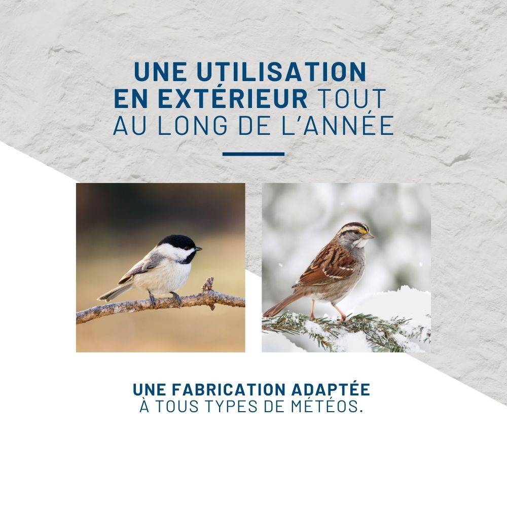 Mangeoire anti-nuisibles SMART BIRDS pour oiseaux grise SWISSINNO - Image 6