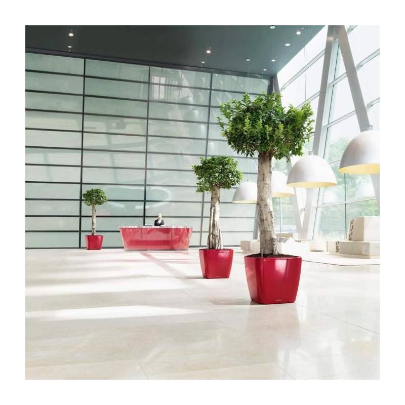 Lechuza - Pot Quadro Premium LS 50 - kit complet, rouge scarlet brillant 50 cm Lechuza - Image 5