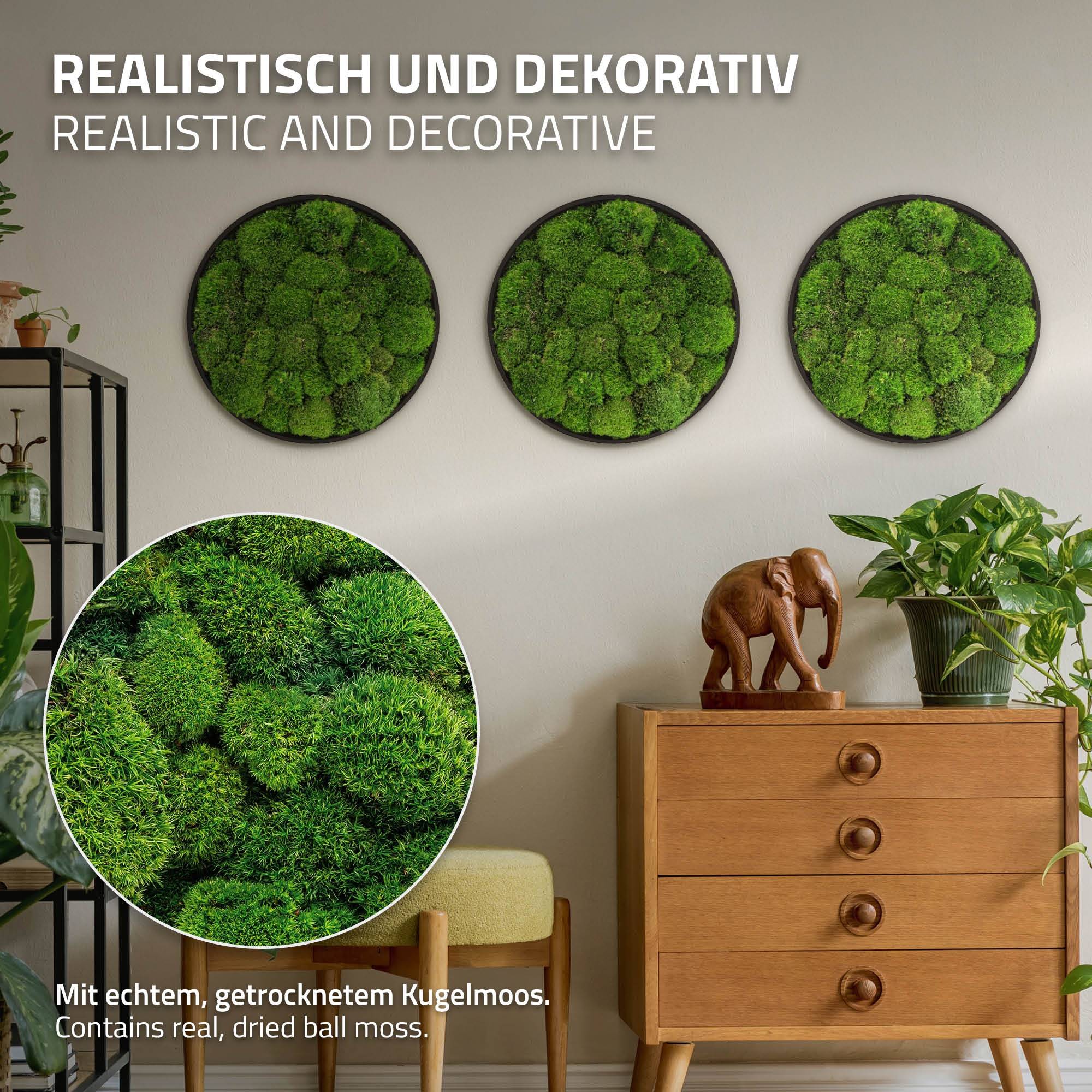 Ecd-Germany - Tableau en mousse boule stabilisée, ronde, Ø 40 cm, vert, décoration murale végétale d'intérieur, cadre en MDF, sans arrosage ni entretien, effet 3D - Image 3