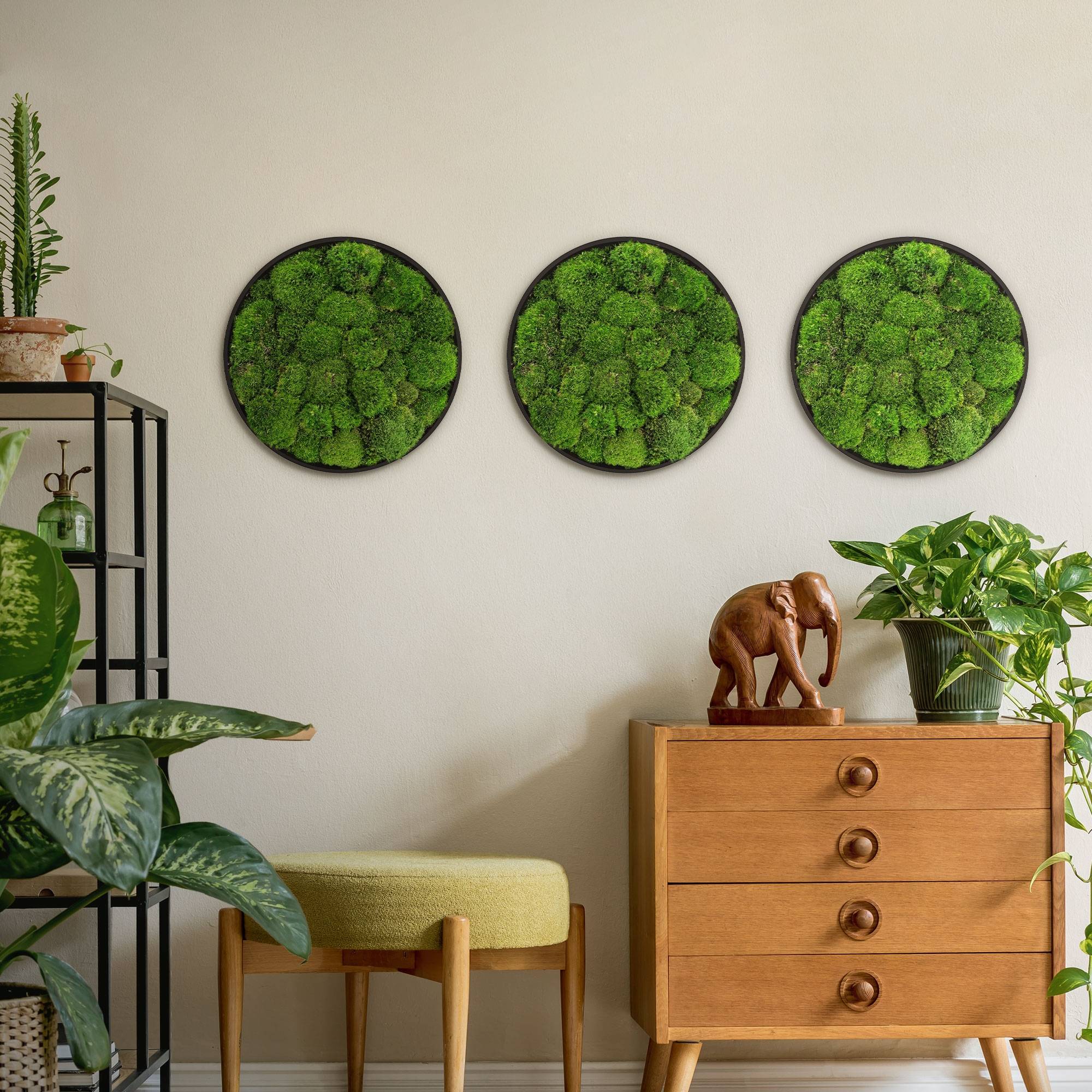 Ecd-Germany - Tableau en mousse boule stabilisée, ronde, Ø 40 cm, vert, décoration murale végétale d'intérieur, cadre en MDF, sans arrosage ni entretien, effet 3D - Image 9